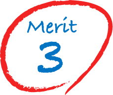 Merit 3